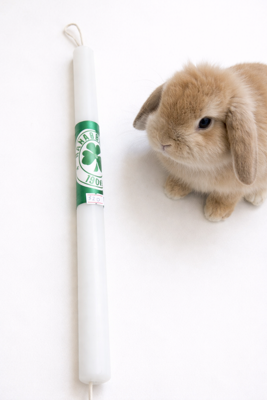 Panathinaikos Easter Lambatha Candle